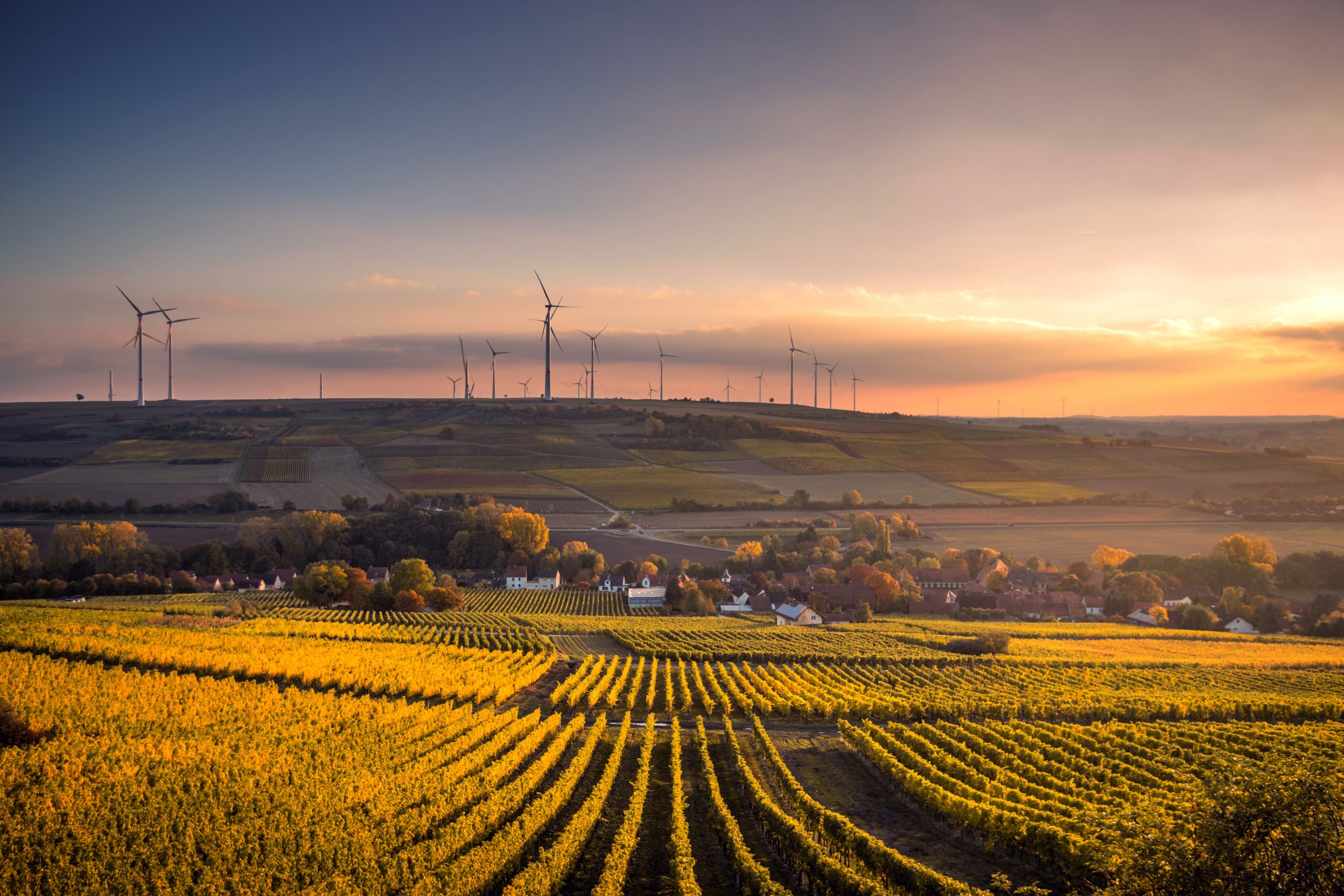 What drives ESG in Insurance